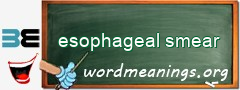 WordMeaning blackboard for esophageal smear